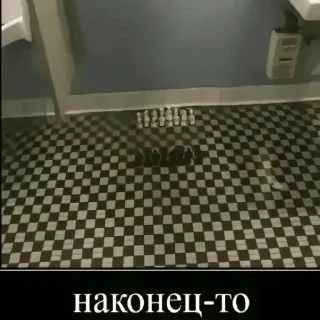 Telegram sticker 🖕 Стикер пак от Смоки