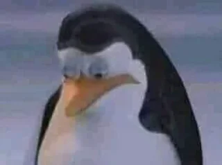 Telegram stiker 🐧 it's a penguin, ig? ¦ @daesuwita