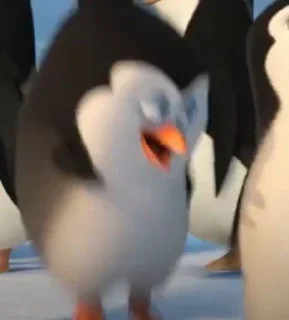 Video sticker 🐧 it's a penguin, ig? ¦ @daesuwita