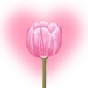 Video sticker ❤️ зариники @...