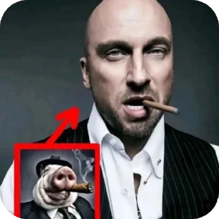 Video sticker 👔 P. drilla