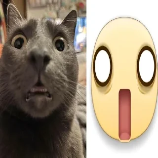 Telegram sticker 🥵 животинки