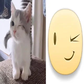 Telegram sticker 😡 животинки