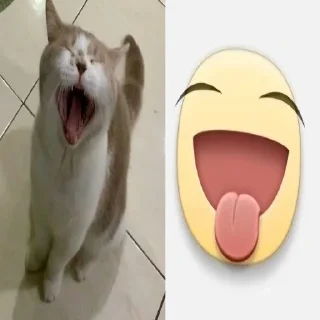 Telegram sticker 🥰 животинки