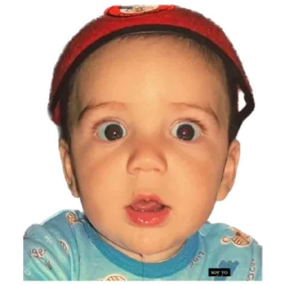 Video sticker 😮 𝗠𝗮𝘅𝗶 𝗦𝘁𝗶𝗰𝗸𝗲𝗿𝘀