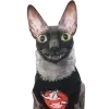 Video sticker 😃 @just_a_humble_cat...