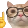 Sticker 🤓 @just_a_humble_cat Lots Of Kitties