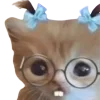 Sticker 🤓 @just_a_humble_cat Lots Of Kitties