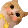 Sticker 🥹 @just_a_humble_cat...
