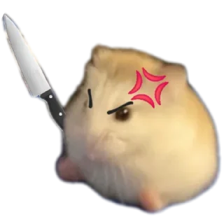 Telegram sticker 🐱 It's Ꮒᥱℛ᥆Ꭵꪀ: @heroin_ilvy