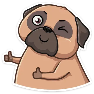 Video sticker 👍 Бун от @stickers_vk