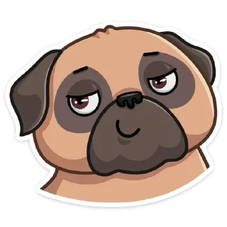 Video sticker 😏 Бун от @stickers_vk