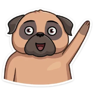 Video sticker 👋 Бун от @stickers_vk