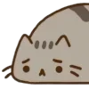 Video sticker 🌟 @K1SSL1NKA pusheen...