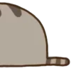 Video sticker 🌟 @K1SSL1NKA pusheen...