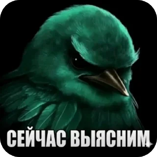 Telegram sticker 🐦 Birds