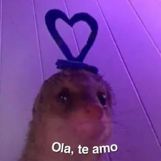 Telegram sticker 🥰 Анонимный чат: @anonimnyi_chatbot 💓