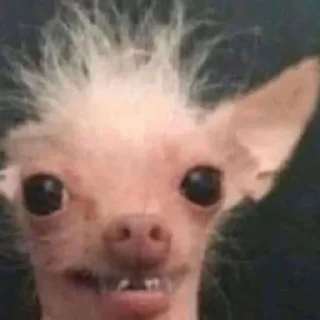 Sticker ☺️ Анонимный чат: @anonimnyi_chatbot 💓