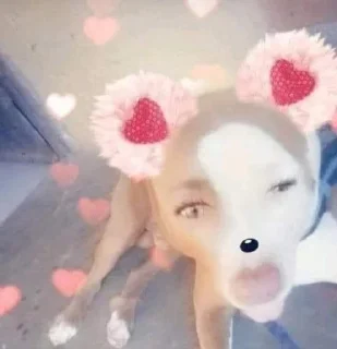 Telegram sticker 🤣 Not funny, I cried