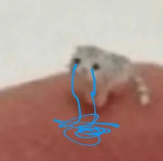 Telegram sticker 😩 Not funny, I cried