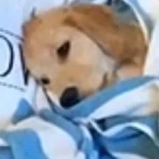 Video sticker 😦 Not funny, I cried