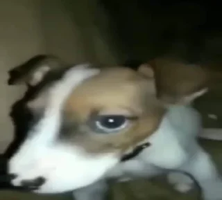 Telegram sticker 🤩 Not funny, I cried