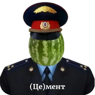 Video sticker 🧥 Арбуз арбуз привет