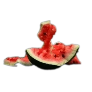 Telegram sticker 🫡 Арбуз арбуз привет