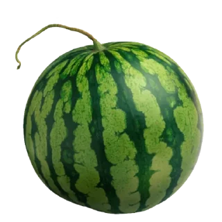 Sticker 🍉 Арбуз арбуз привет