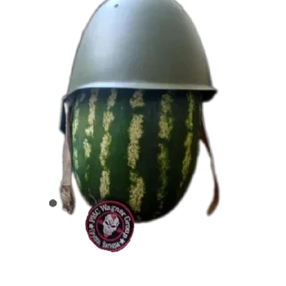 Video sticker 🫡 Арбуз арбуз привет