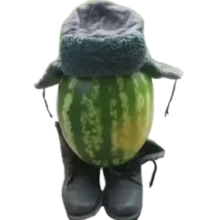 Telegram sticker 🥦 Арбуз арбуз привет