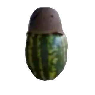 Telegram sticker 🫡 Арбуз арбуз привет