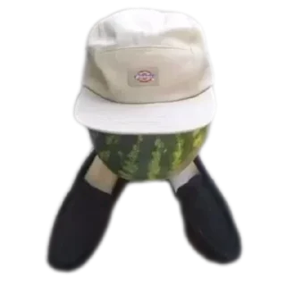 Telegram sticker 🎩 Арбуз арбуз привет