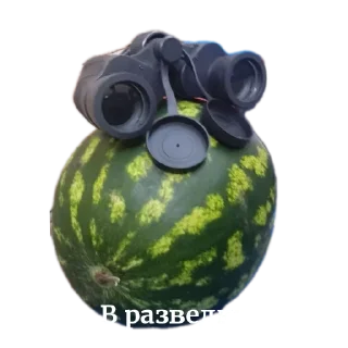 Telegram sticker 😎 Арбуз арбуз привет