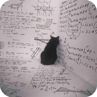 Video sticker 🫥 Котя