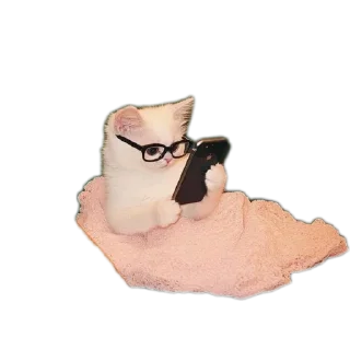 Telegram sticker 📝 Zoziiiiiiiiiii9