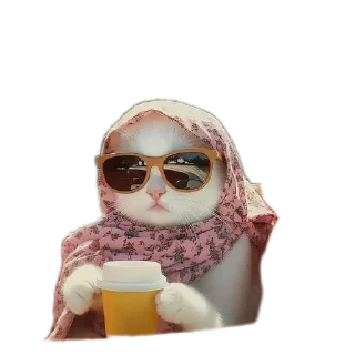 Video sticker 💅 Zoziiiiiiiiiii9