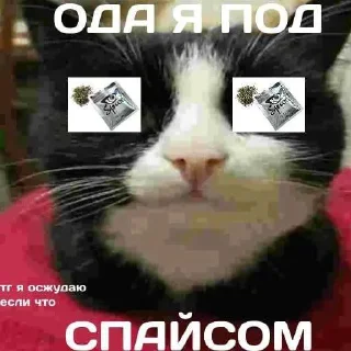 Telegram sticker ❤️ MrPenish @nl_dahood