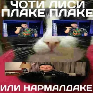 Video sticker ❤️ MrPenish @nl_dahood