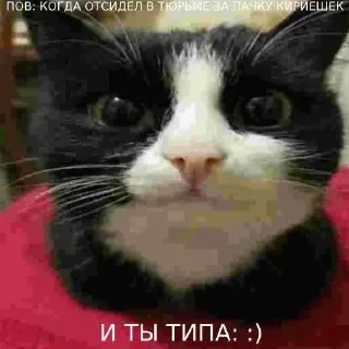 Telegram sticker ❤️ MrPenish @nl_dahood