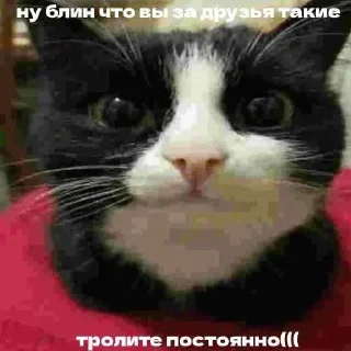 Telegram sticker ❤️ MrPenish @nl_dahood