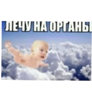 Telegram sticker 🖼 Смерть в нищите