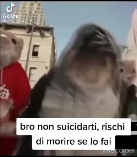 Video sticker 😳 Pack di @Scansafatiche