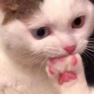 Sticker 😍 aloolFH