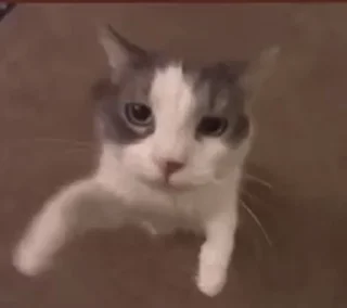 Video sticker 🤍 Больше стикеров: @stikery_180