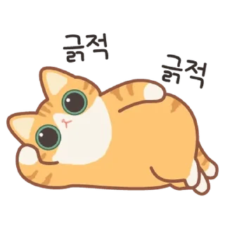 Telegram sticker 💬 보들보들 보들캣! 치즈냥 By @KakaoEmoticon