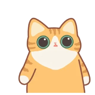 Telegram sticker 💬 보들보들 보들캣! 치즈냥 By @KakaoEmoticon