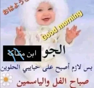 Телеграм стикер 😻 About @alhdad_up