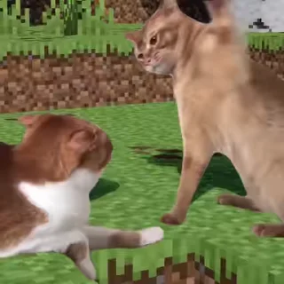 Video sticker 😡 Cats @fixfoxarts
