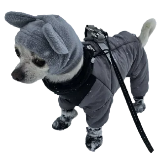 Телеграм стикер 🥶 Ponchik